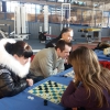 Турнір з шашок серед медичних працівників 16.02.2017 р.